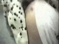 Dalmatian loves fucking its lustful headmistress unfathomable in her booty